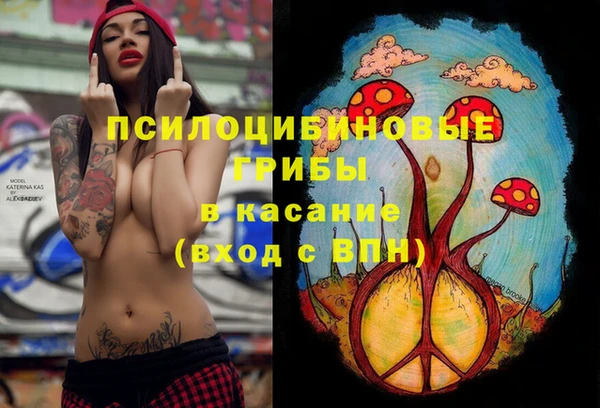 Альфа ПВП Армянск