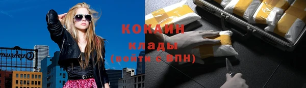 шишки Аркадак
