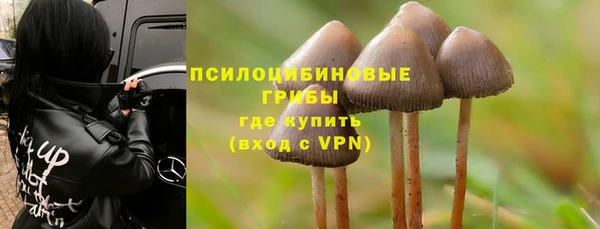 шишки Аркадак