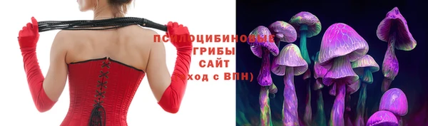 дмт Арсеньев