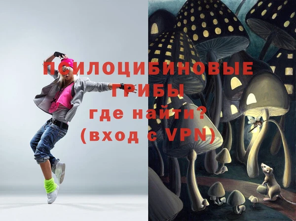 шишки Аркадак
