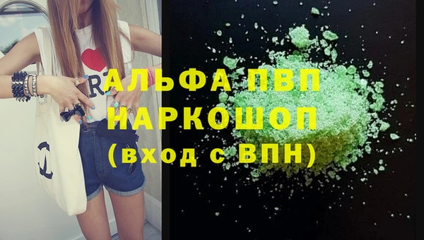 шишки Аркадак