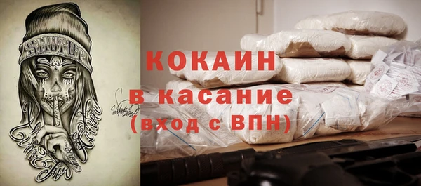 дмт Арсеньев